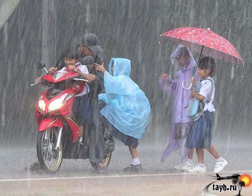 И о погоде в Тайланде на ближайшие дни