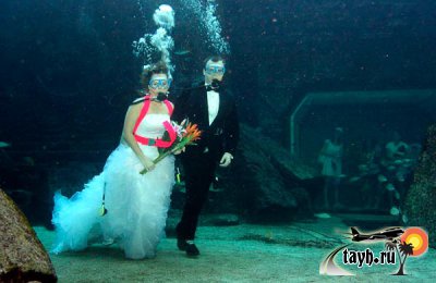 Церемония подводной свадьбы улучшается