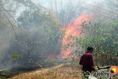 Пожар в Хуа Хин