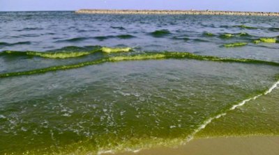 Загрязнено море в Пхукете и Пхетчабури