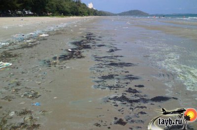 Ещё один пляж Тайланда засорён