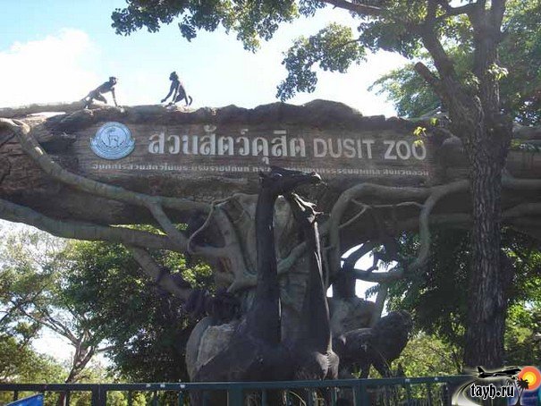 Достопримечательности бангкока.Зоопарк Дусит.Zoo Dusit.Бангкок.Тайланд
