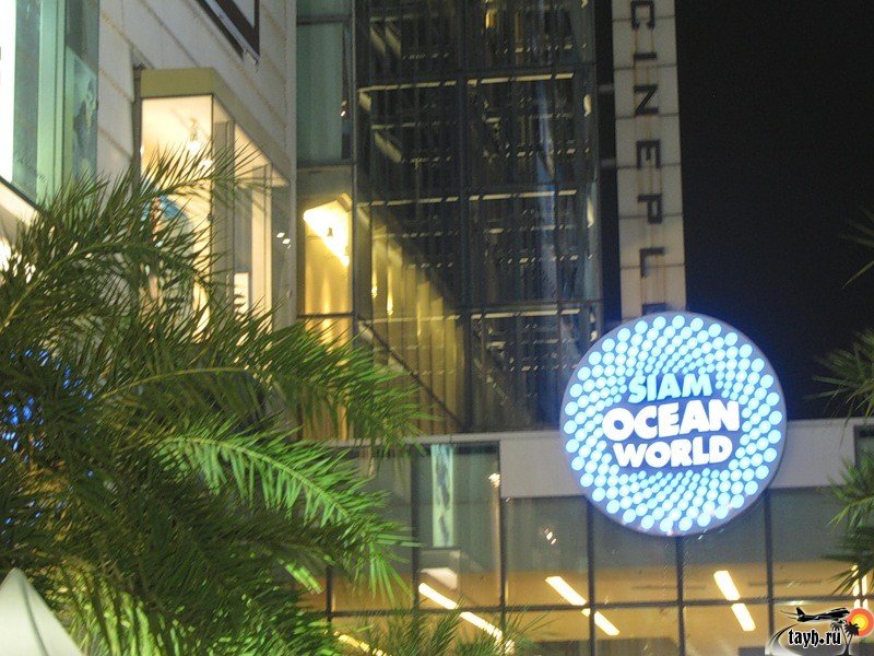 Океанариум Бангкока.Siam Ocean World