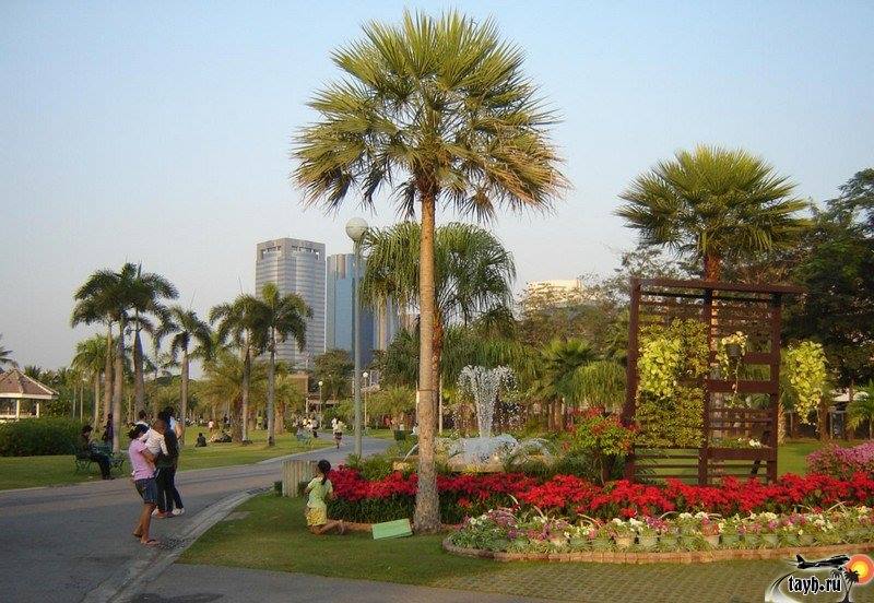 парк Королевы Сирикит.Queen Sirikit Park
