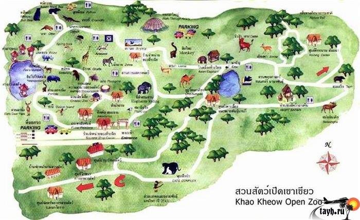 Khao Kheow Open Zoo.Зоопарк в Паттайя