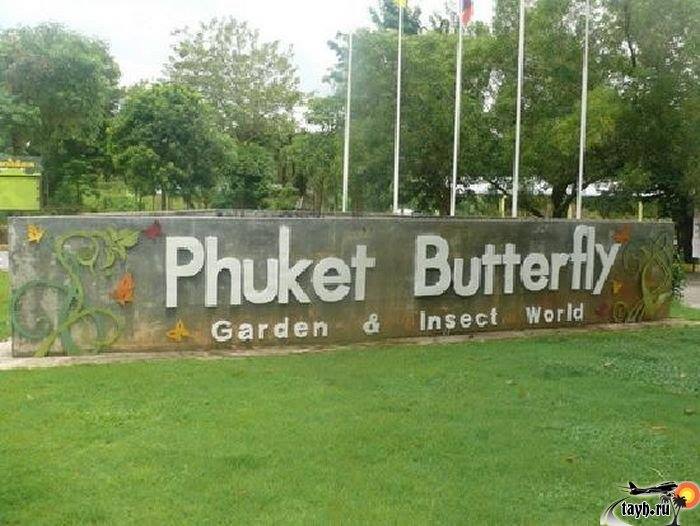 Парк бабочек.Пхукет.Тайланд