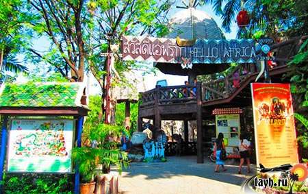 11 июля вход в 7 зоопарков Тайланда бесплатно.