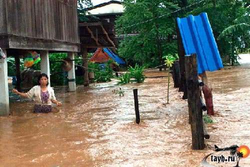 Затоплено более 700 домов на севере Тайланда.