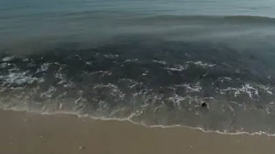 На пляжах Хуа Хина появились нефтяные пятна