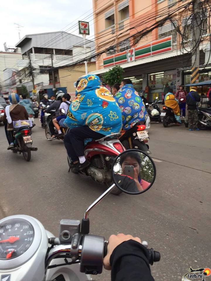 Погода в тайцах. Погода Тайцы. Смешные фото на дороге Тайланда.