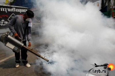 борьба с лихорадкой денге