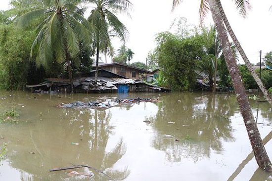 На юге Таиланда снова дожди и наводнение