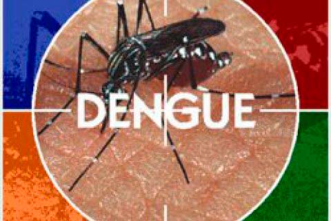 лихорадка денге