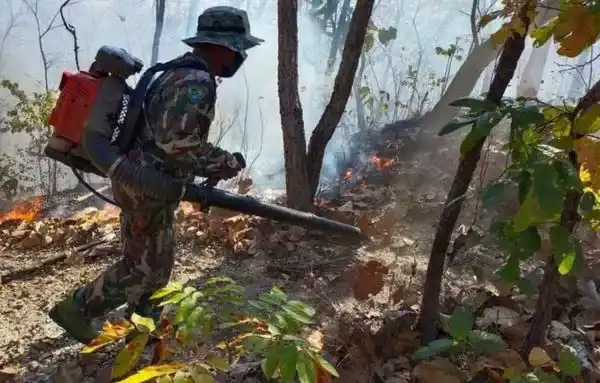 Тушение лесного пожара в Таиланде